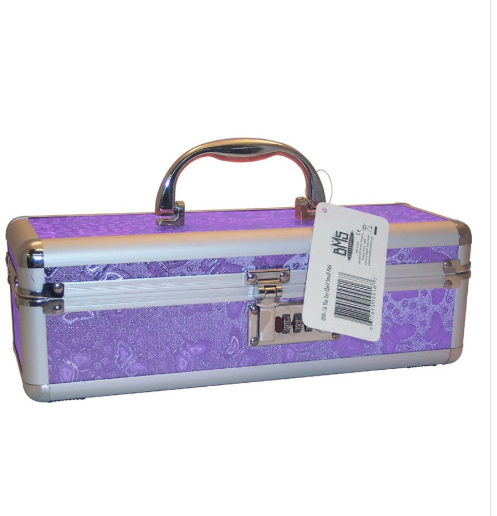Lockable Toy Storage Case - Small